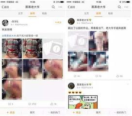 新瓜男女最新爆料网站,揭秘娱乐圈最新热点事件